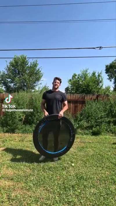 🔥 Dogs can’t use trampolines : perfectlycutvideos