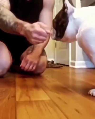 The Dog Reaction to this Magic Trick Is Priceless Lol