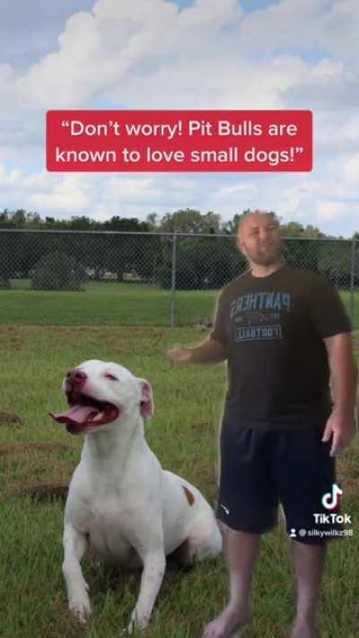 Pit Bulls Don’t Belong At Dog Parks!