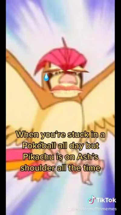 I feel bad for Ash’s other Pokémon