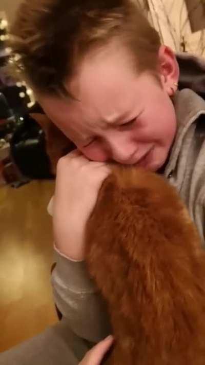 Boy reunited with his lost cat after 7 months apart