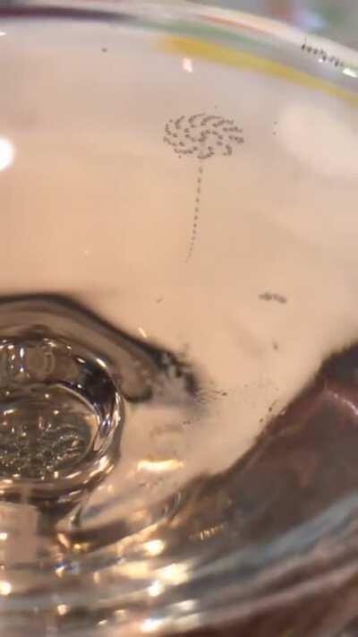 The bubbles forming on the surface of a glass of sparkling wine are in perfect circular order