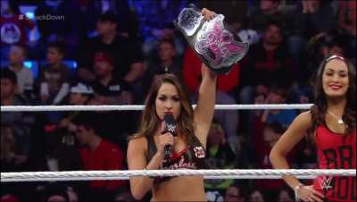 Nikki Bella /SMACKDOWN Nov.28 2014