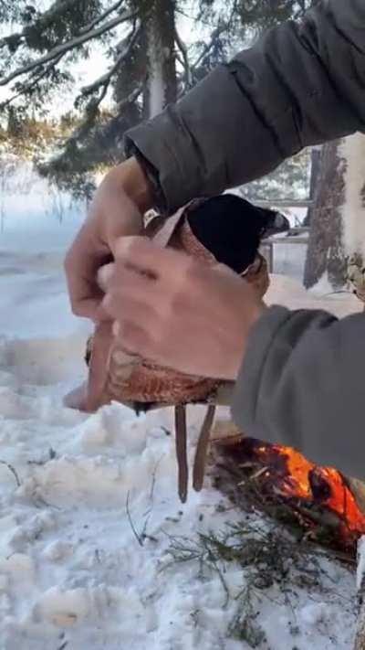 This guy warming up his raven with a blanket