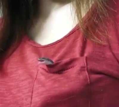 This adorable little pocket snek giving a big yawn