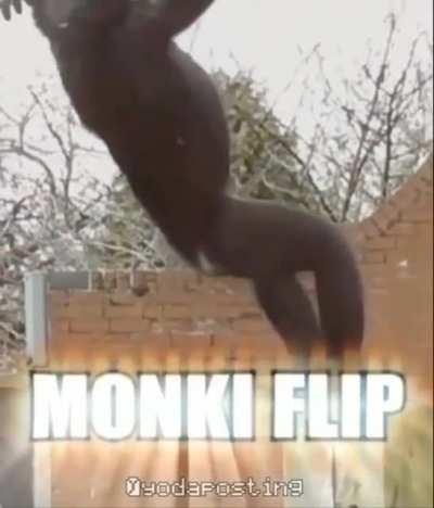 monki flip