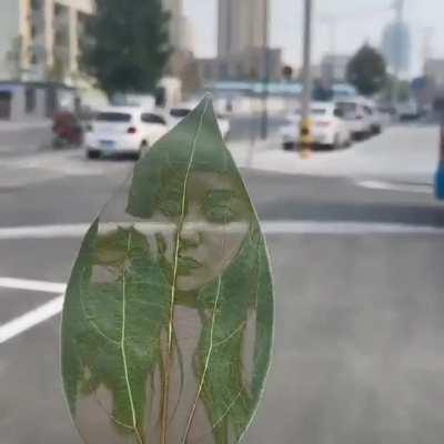 girl drawing on leaf by xiang.duan