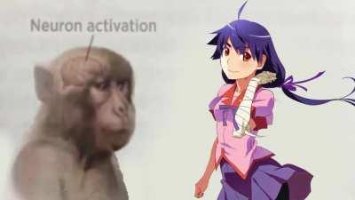 Manga Kanbaru > Anime Kanbaru