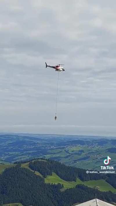 Switzerland’s ill cow transportation to the vet.