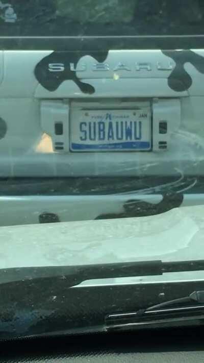 I actually found a Subauwu in the wild!