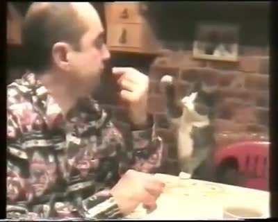 Cat using sign language to communicate with its deaf owner