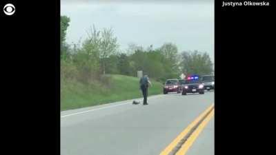 Video shows officer shoot groundhog as it crosses the road