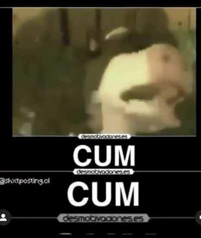 Cum