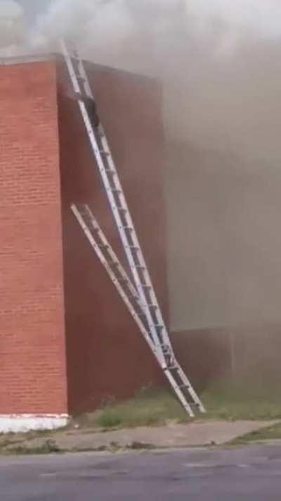 South Bend Fire Department setting up ladders so two raccoons could escape the burning building. Glad to see everyone made it okay, including the raccoons!