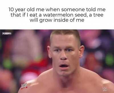 Haha HD John Cena go brrr