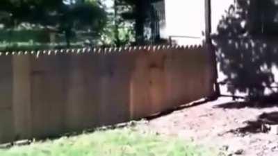 Man proud of his new fence to keep his dog safe