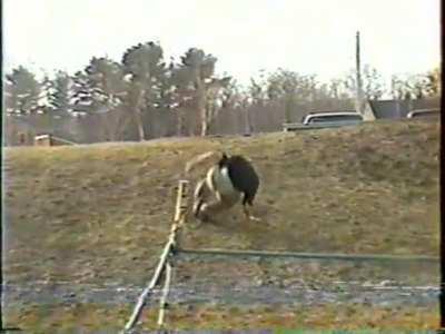 The Greatest Back Yard Wrestling Entrance of All Time