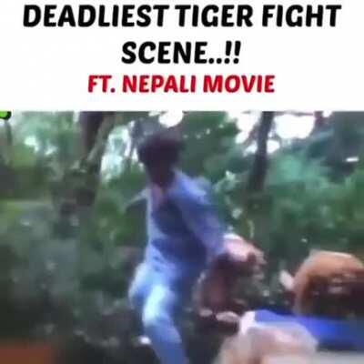 Deadliest fight scene