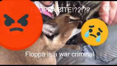 Floppa bite mommy???