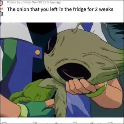 Fridge Onion