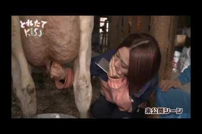 牛子太小的不能叫导管，以后一律叫挤奶。