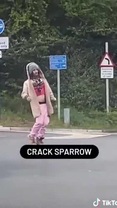 Crack sparrow