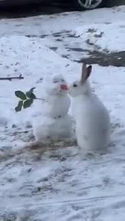 Bunny eats snowman's carrot nose