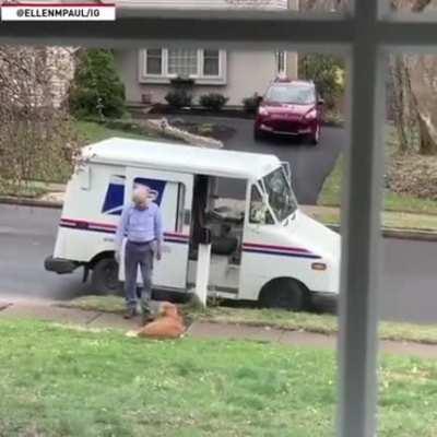 Winnie the golden retriever's favorite time of the day is when the mailman passes by to deliver mail. Winnie and the mailman have become best of friends.