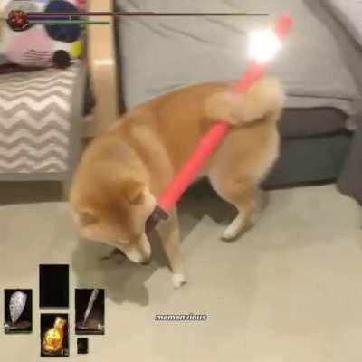 doge souls 3