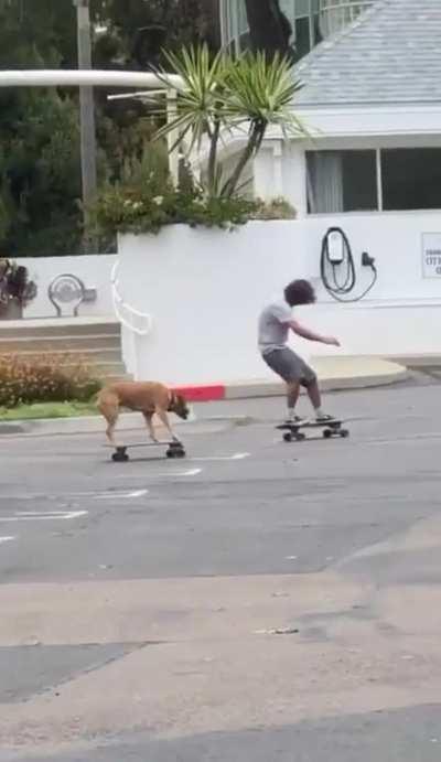 Skateboarding with a friend