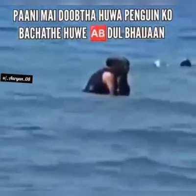 Ayoo bhaijaan saving penguin