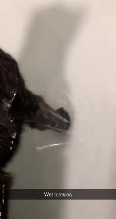 my cat having her monthly bath time :)