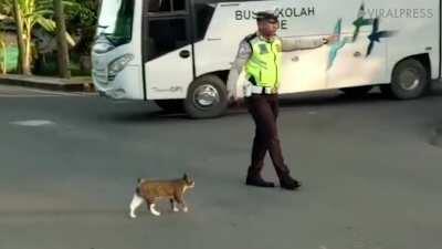 Kind-hearted cop helps cat cross the road