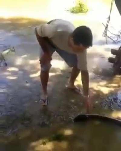 WCGW if I touch this electric eel?