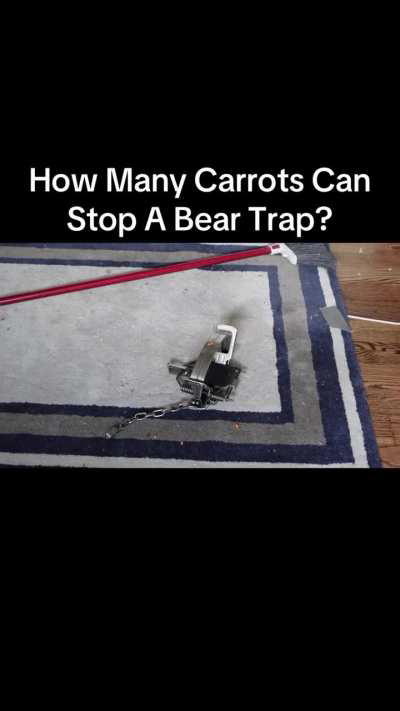 Putting carrots in a bear trap