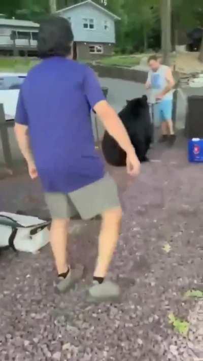 Man gets bear to leave a party 