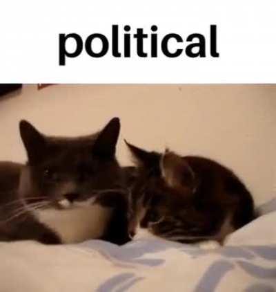 Political wunk