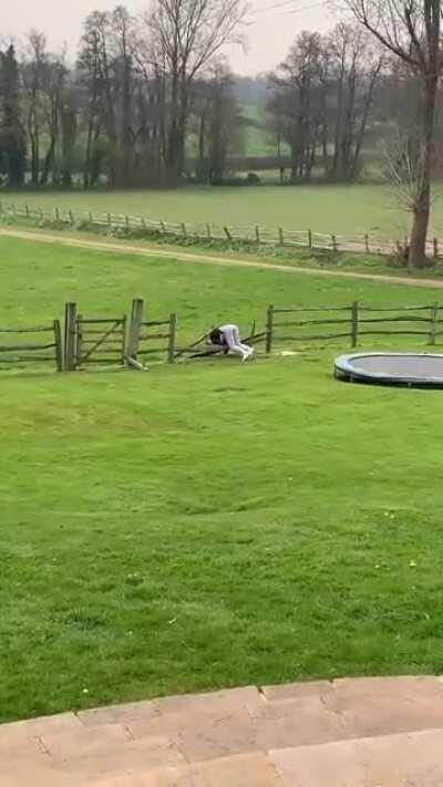 To jump over the fence...