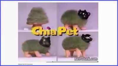 Chia Pet - Scott The Woz but nothing has changed. This is straight up piracy. Watch this before this post gets removed.