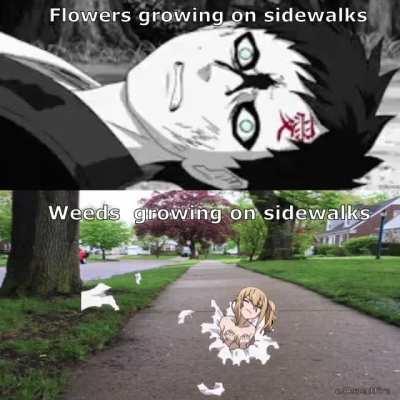 If only we could grow waifus