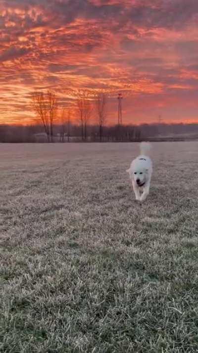 Recently moved back from California. Mornings like these make it a bit easier.