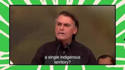 The direct link between Jair Bolsonaro, the ecocide of the Amazon, and the accelerating violence against its Indigenous peoples.