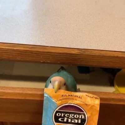 A women from Idaho uses a small parrot to open the tea bag.