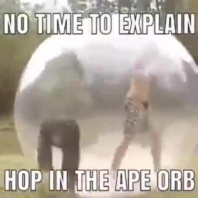 Share the ape orb