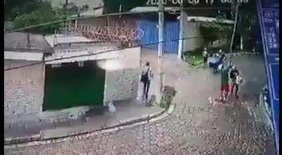 WCGW if you try to get mangos near by a power line.?