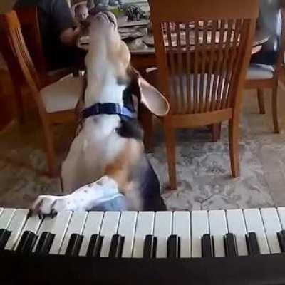 love how the dog leans back while he’s singing.