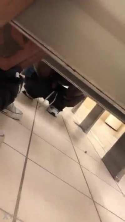 Public Bathroom Fun