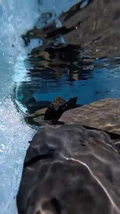 Crystal clear glacier stream in Alaska