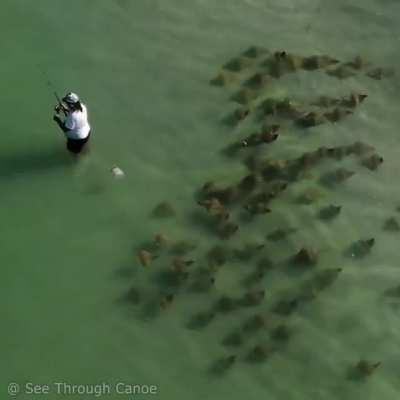 🔥 Fisherman never notices the fever of rays passing behind him