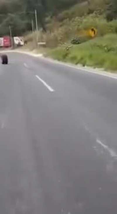 This giant set of tires rolling down a very long hill